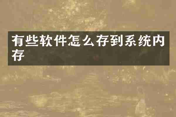 有些软件怎么存到系统内存