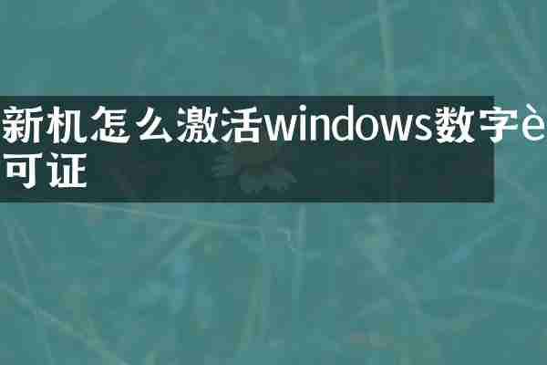 新机怎么激活windows数字许可证