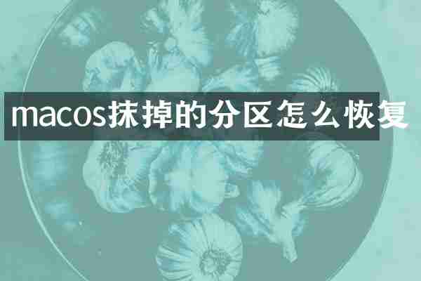 macos抹掉的分区怎么恢复