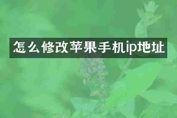 怎么修改苹果手机ip地址