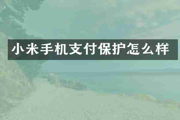小米手机支付保护怎么样