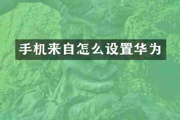 手机来自怎么设置华为