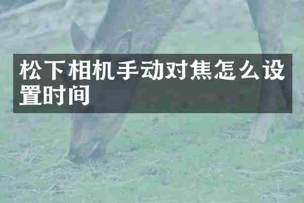 松下相机手动对焦怎么设置时间
