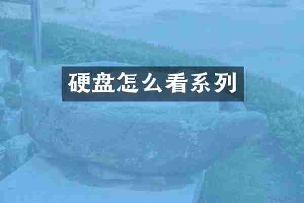 硬盘怎么看系列