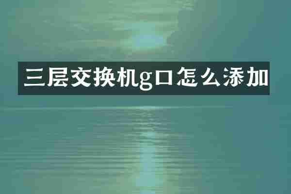 三层交换机g口怎么添加