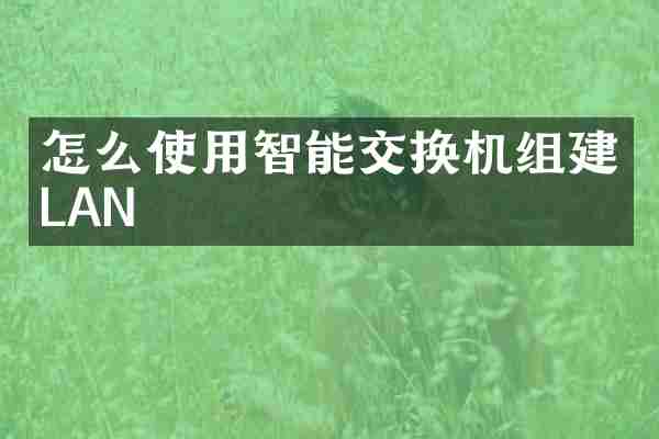 怎么使用智能交换机组建LAN