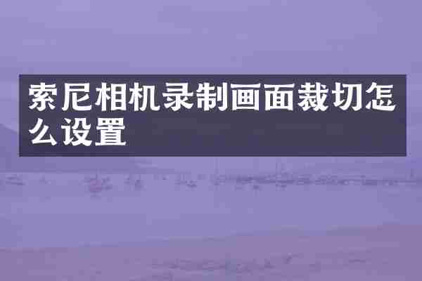 索尼相机录制画面裁切怎么设置