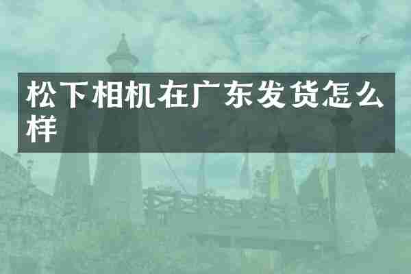 松下相机在广东发货怎么样