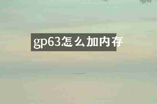gp63怎么加内存