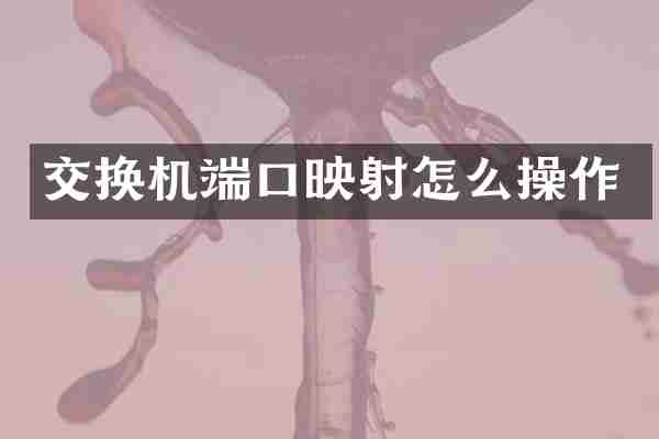 交换机端口映射怎么操作