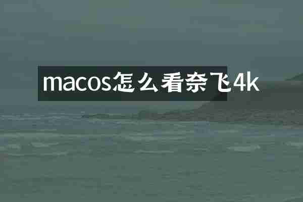 macos怎么看奈飞4k