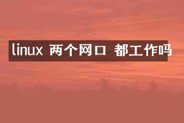 linux 两个网口 都工作吗