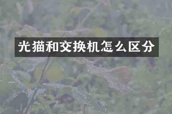 光猫和交换机怎么区分