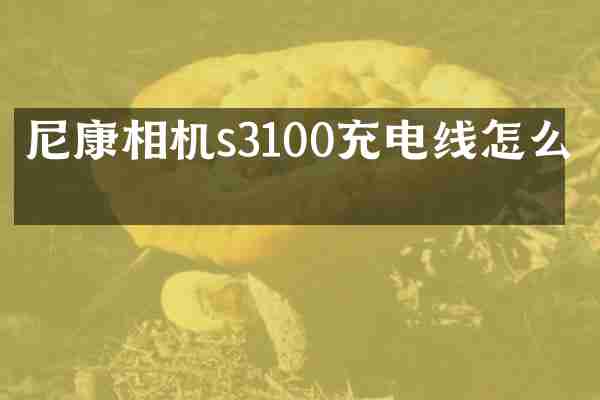 尼康相机s3100充电线怎么充