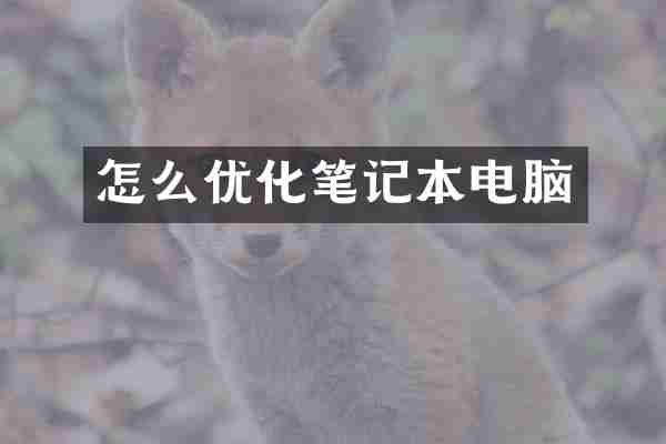 怎么优化笔记本电脑