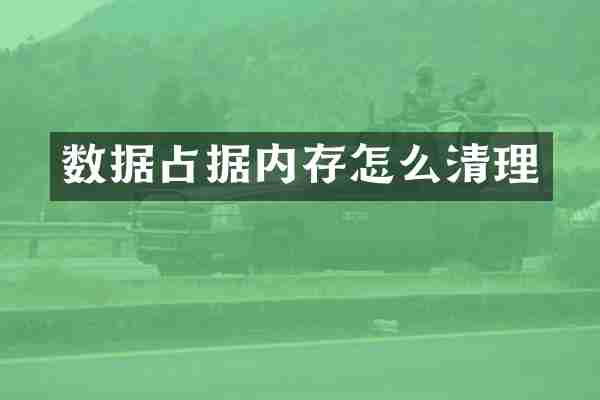 数据占据内存怎么清理