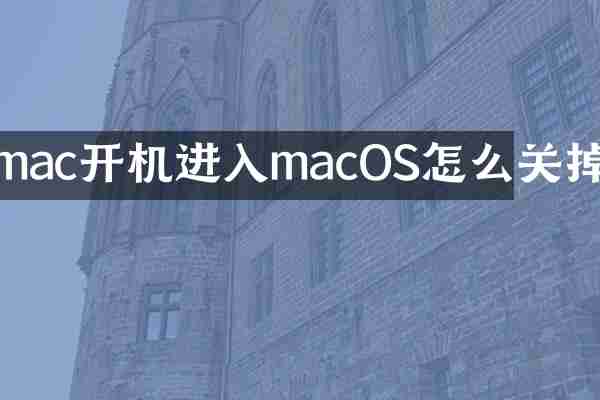 mac开机进入macOS怎么关掉