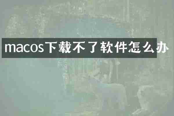 macos下载不了软件怎么办