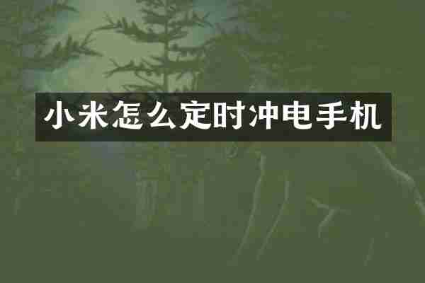 小米怎么定时冲电手机