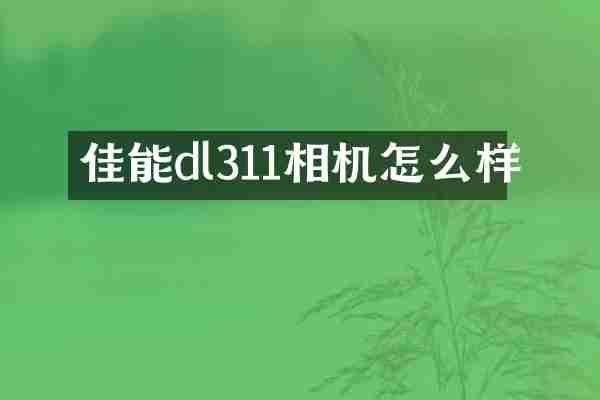 佳能dl311相机怎么样