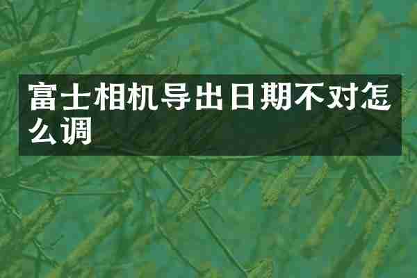 富士相机导出日期不对怎么调