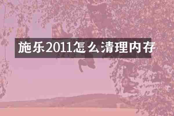 施乐2011怎么清理内存