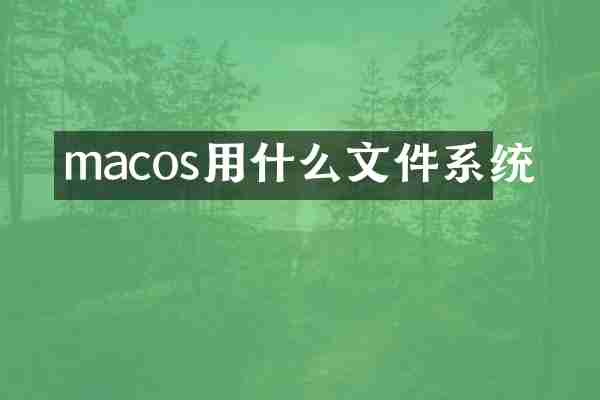 macos用什么文件系统