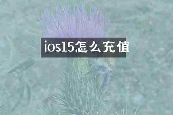 ios15怎么充值
