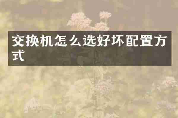 交换机怎么选好坏配置方式