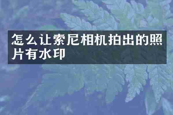 怎么让索尼相机拍出的照片有水印