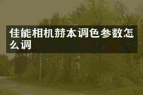 佳能相机赫本调色参数怎么调