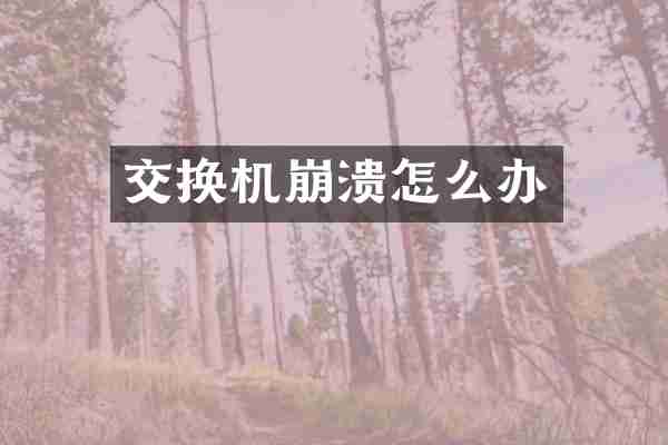 交换机崩溃怎么办