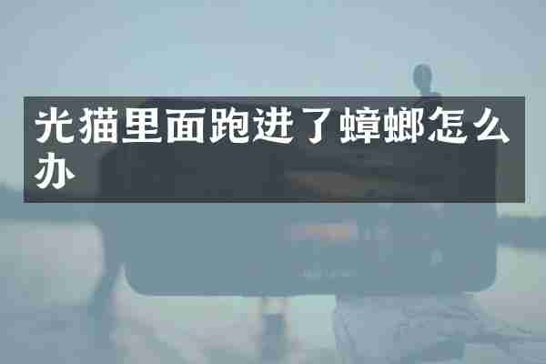 光猫里面跑进了蟑螂怎么办