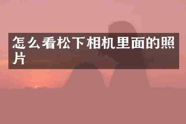 怎么看松下相机里面的照片