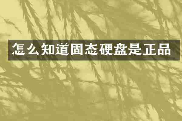 怎么知道固态硬盘是正品