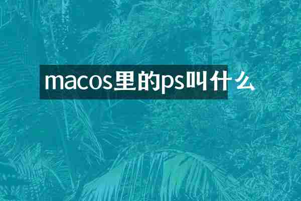 macos里的ps叫什么