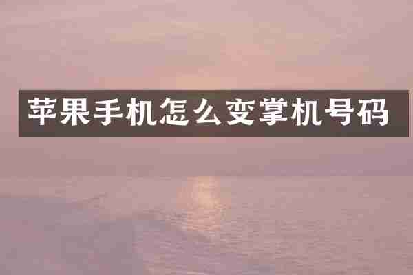 苹果手机怎么变掌机号码