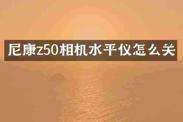 尼康z50相机水平仪怎么关