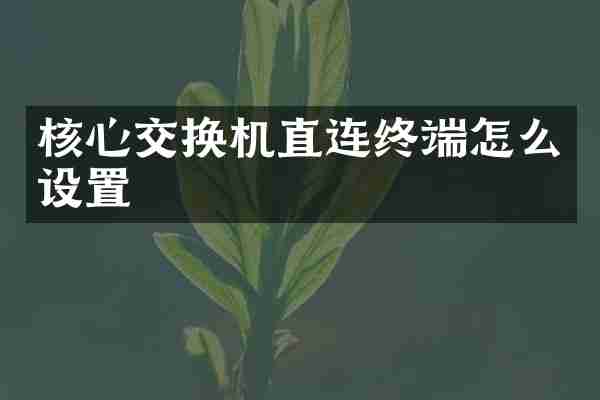 核心交换机直连终端怎么设置