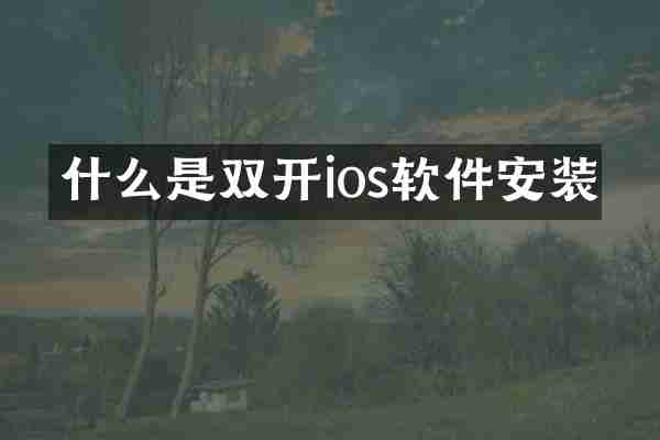 什么是双开ios软件安装