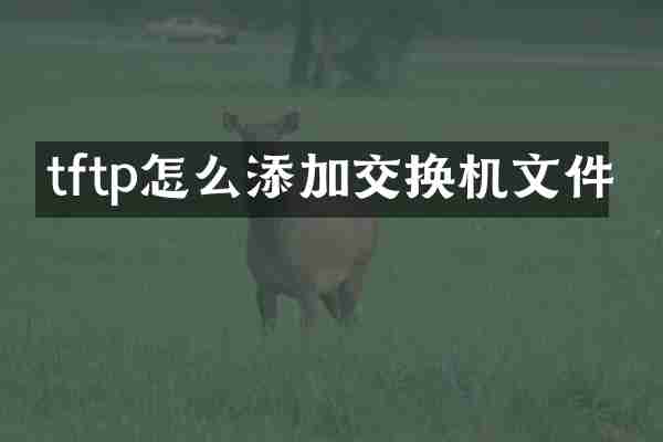tftp怎么添加交换机文件