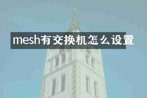 mesh有交换机怎么设置