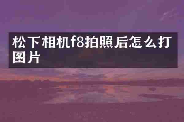 松下相机f8拍照后怎么打开图片