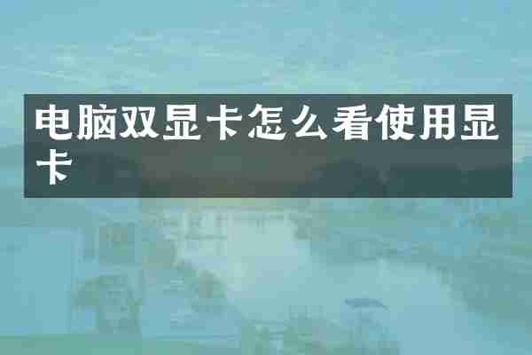 电脑双显卡怎么看使用显卡