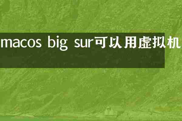 macos big sur可以用虚拟机吗