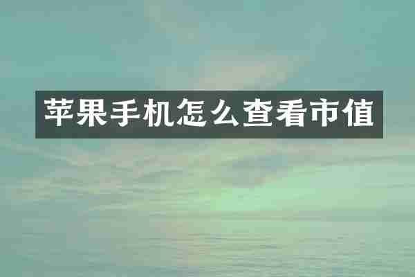 苹果手机怎么查看市值