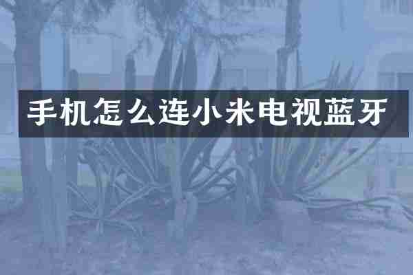 手机怎么连小米电视蓝牙