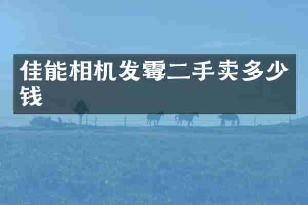 佳能相机发霉二手卖多少钱