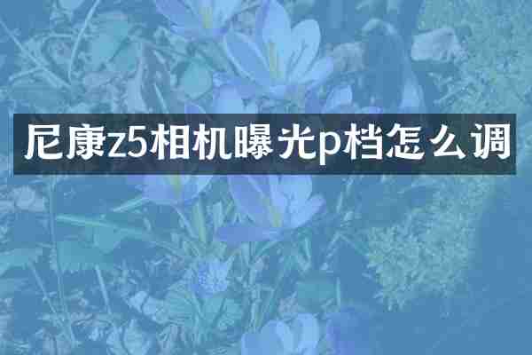 尼康z5相机曝光p档怎么调