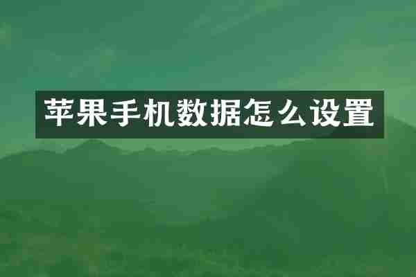 苹果手机数据怎么设置